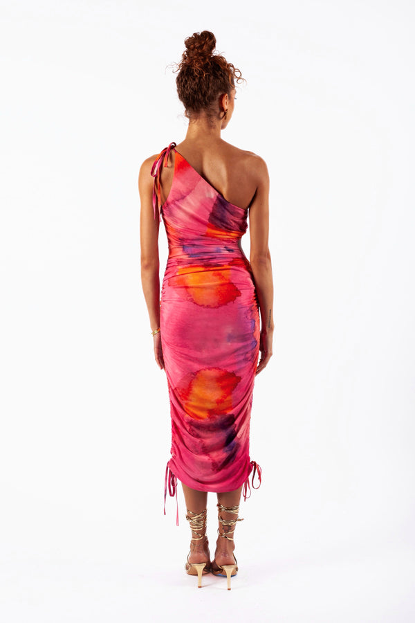 Izara Dress Ruched Bodycon Printed Dress