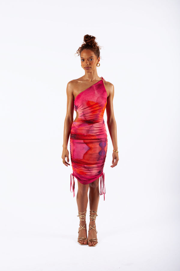 Izara Dress Ruched Bodycon Printed Dress