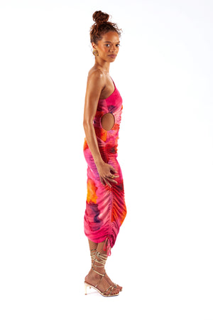 Izara Dress Ruched Bodycon Printed Dress